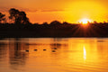 African Sunset