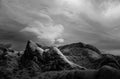 Albian Hills 1