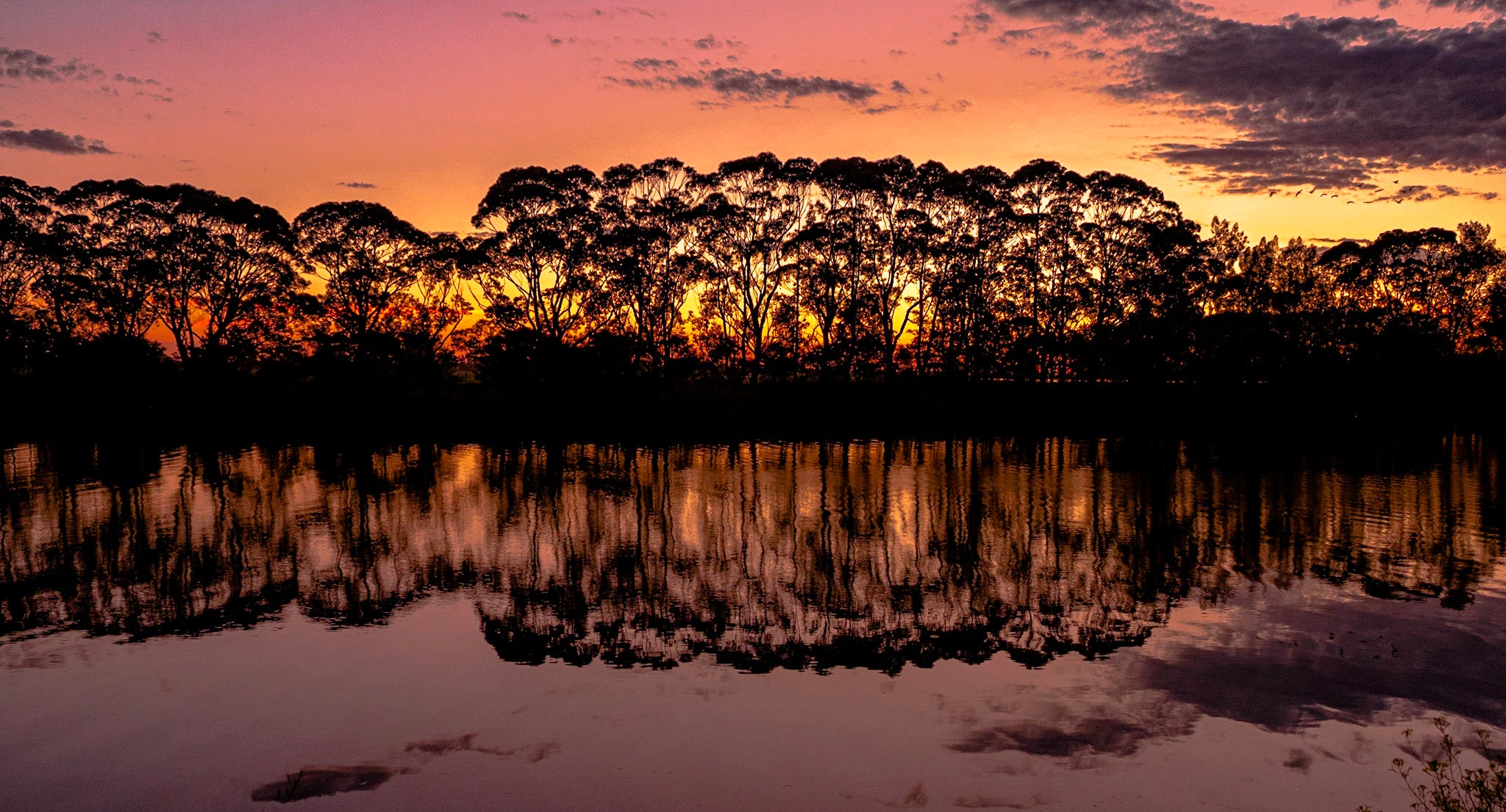 Austrailia 1