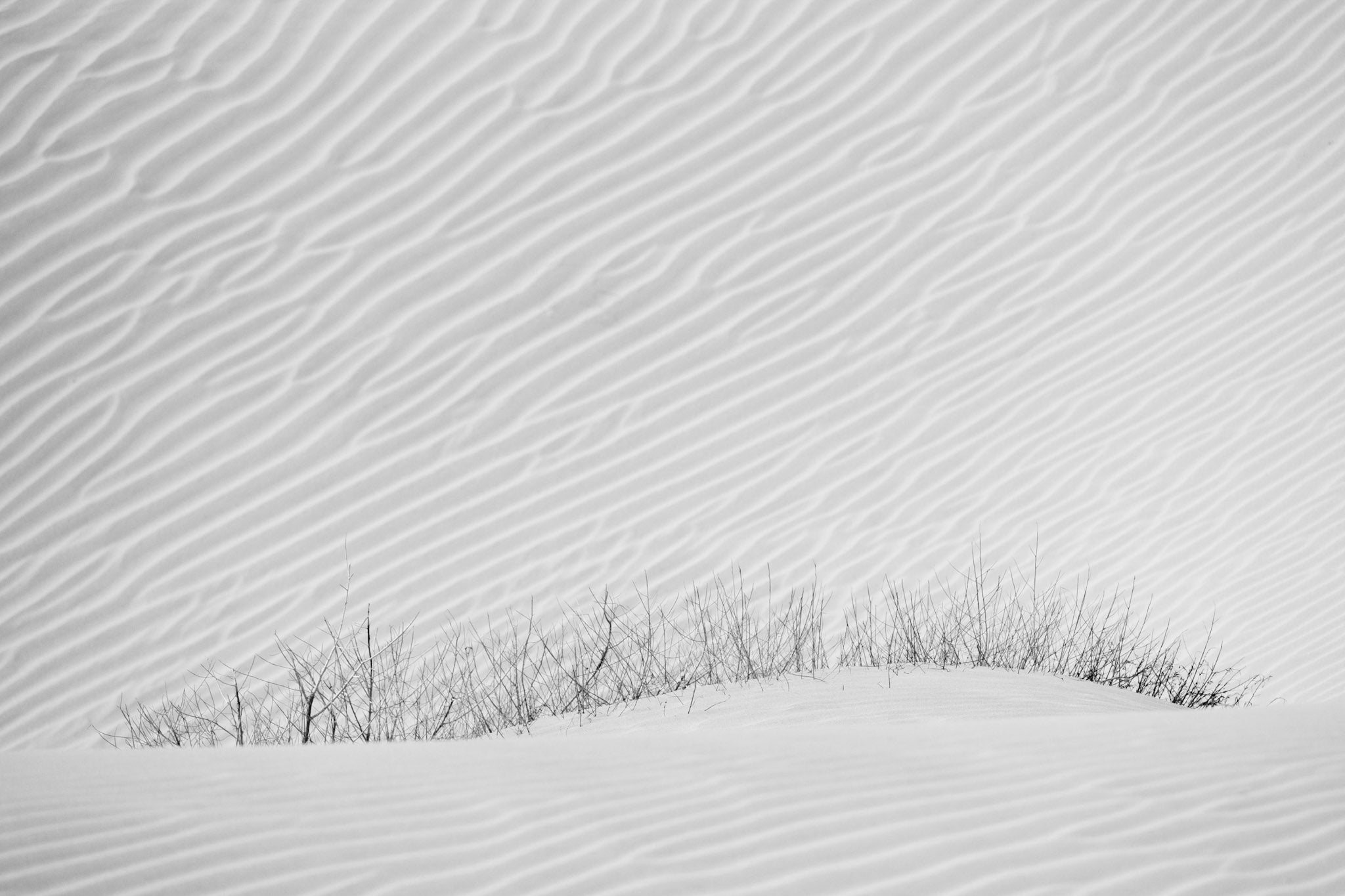 Death Valley 1