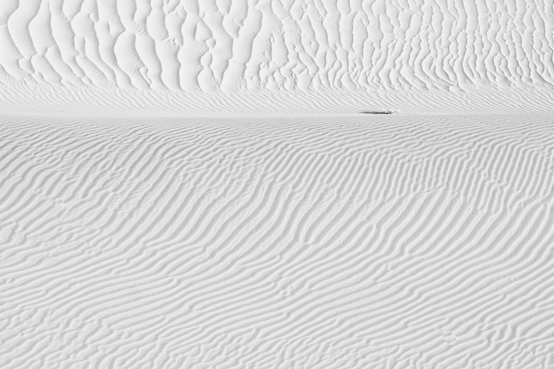 Death Valley 2