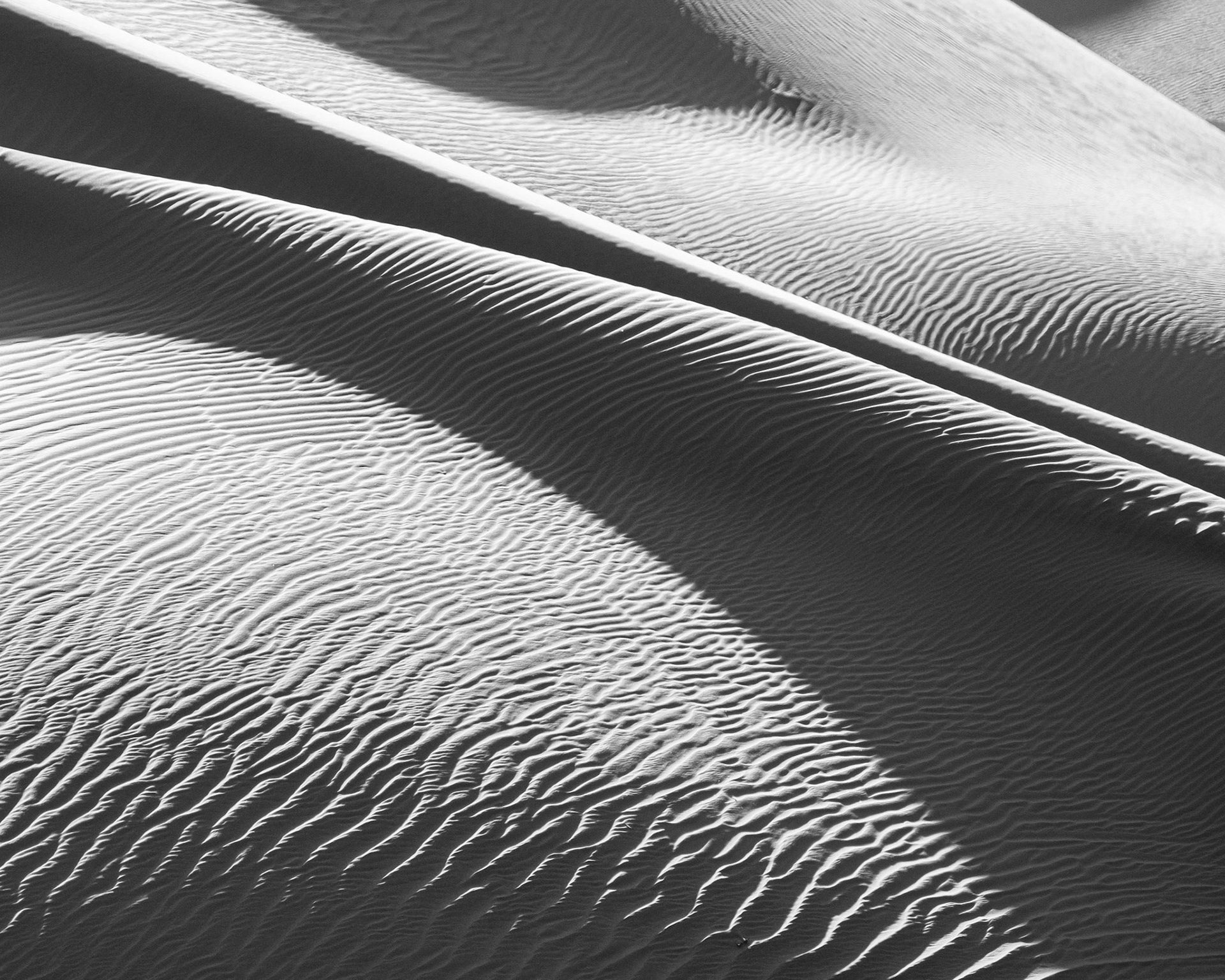 Gobi 13