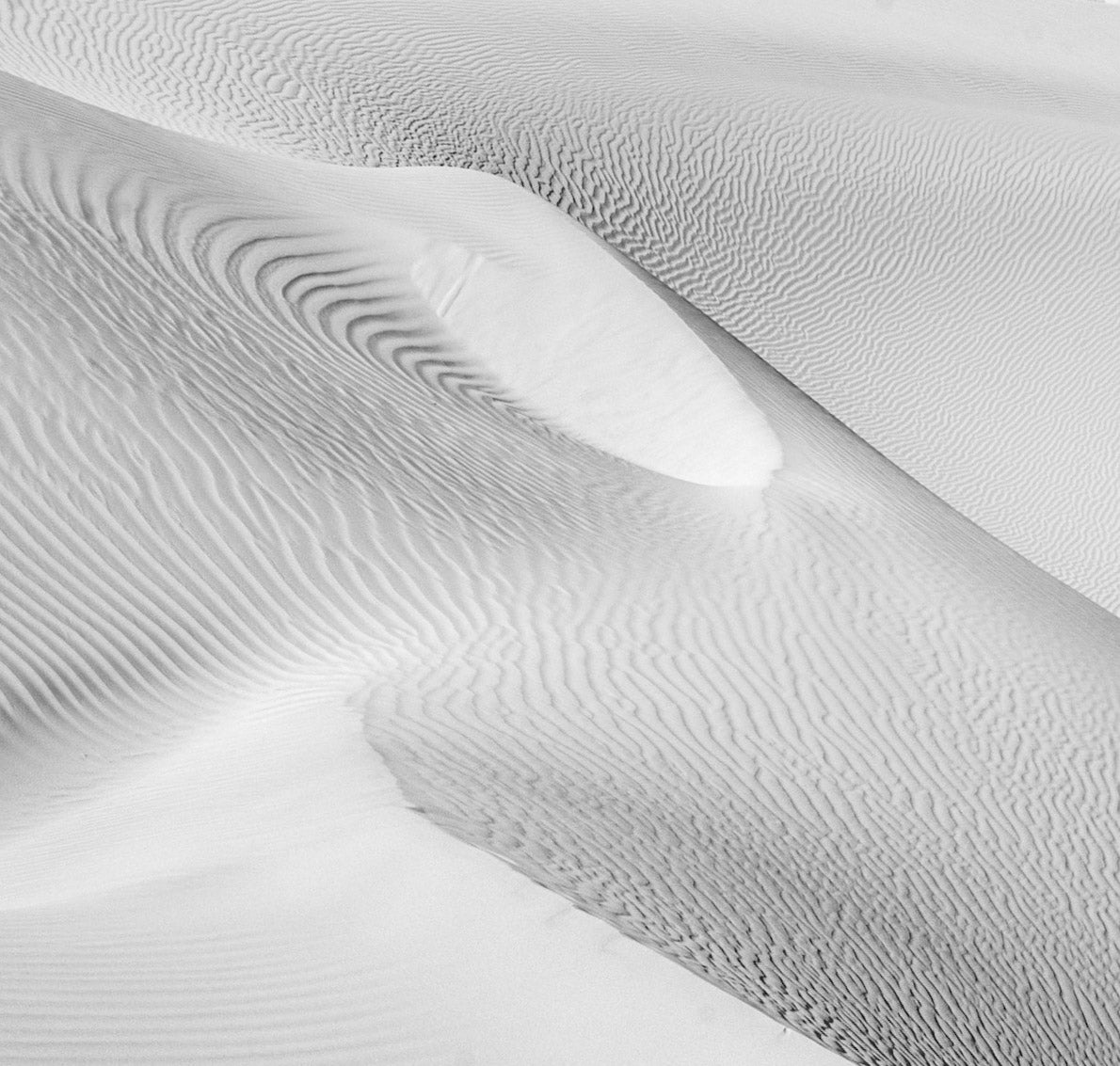 Gobi 14