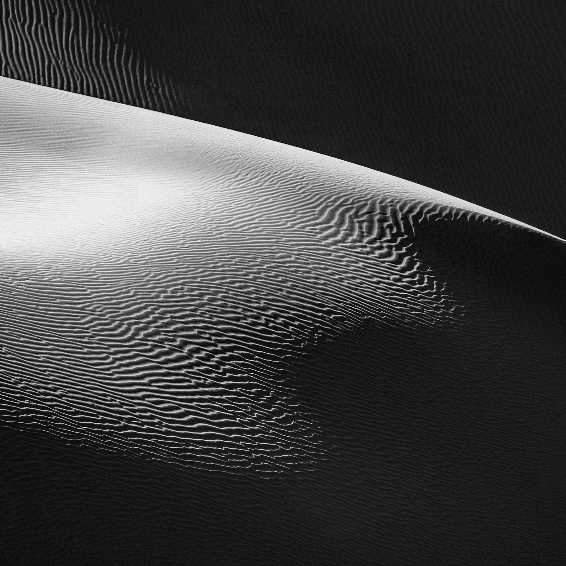 Gobi 8