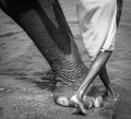India 2