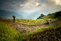 Vietnam 1
